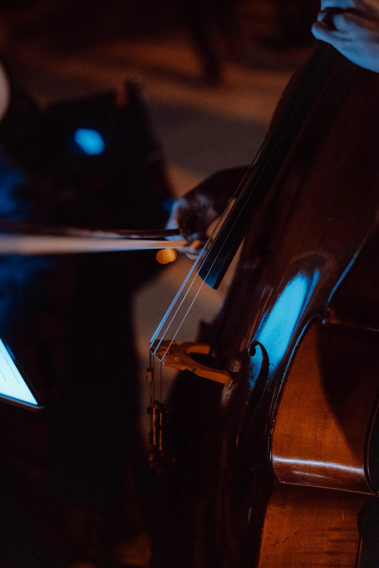 Violonceliste en train de jouer pendant le dîner. Vue resserrée sur l'archet 